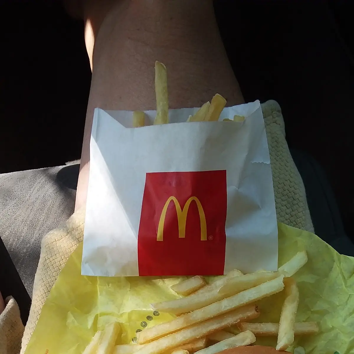 Chicken Burger and Fries