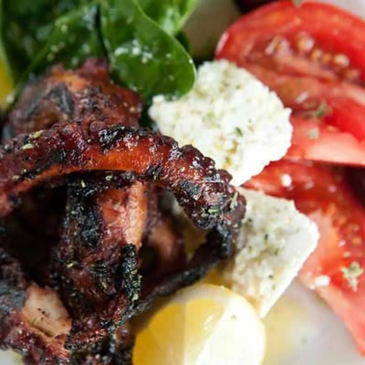 Char Grilled Octopus