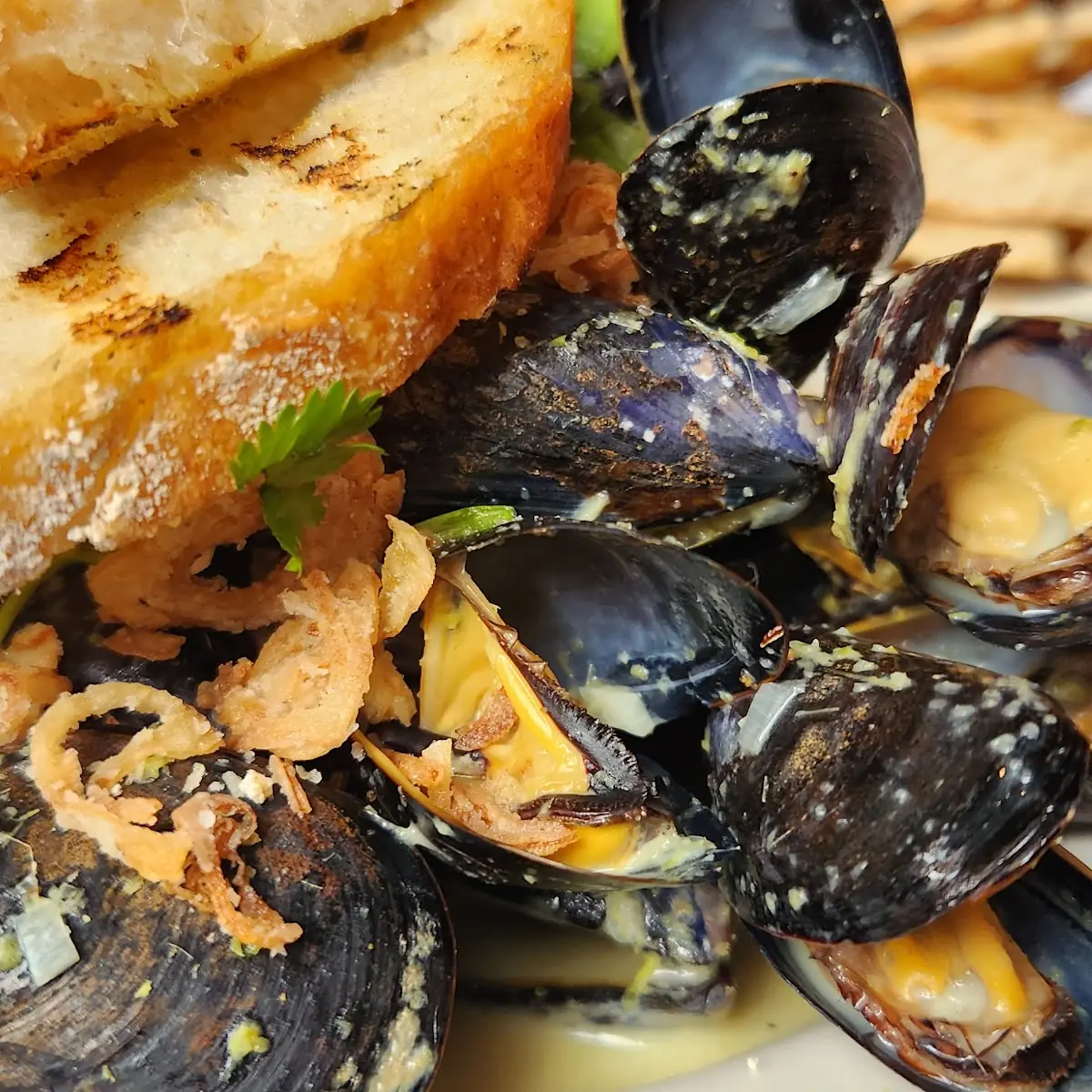 Curry Mussels