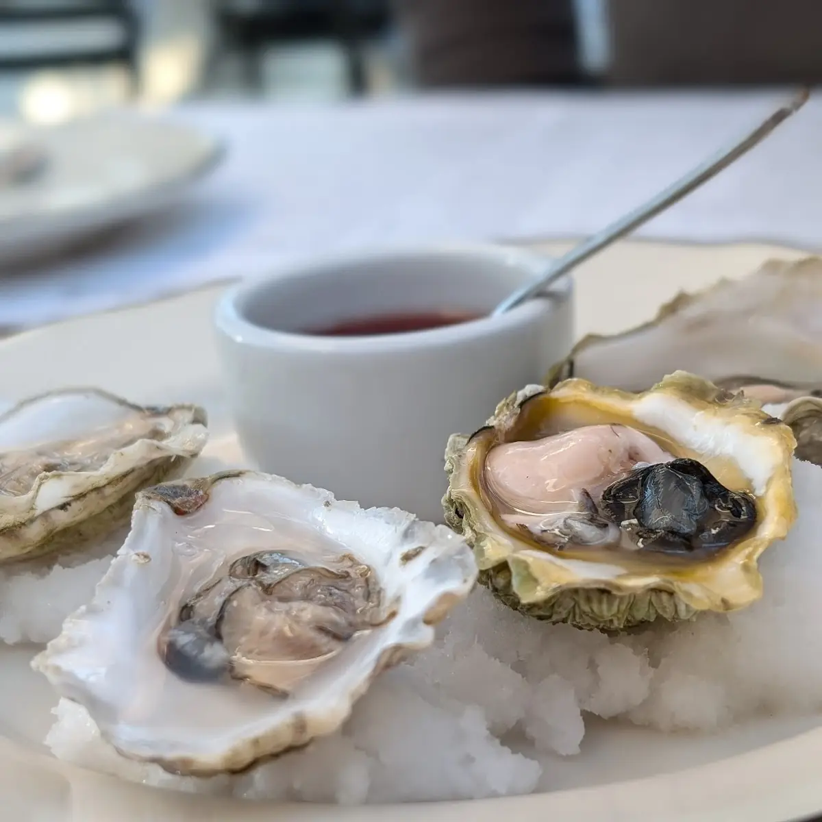 Raw Oysters