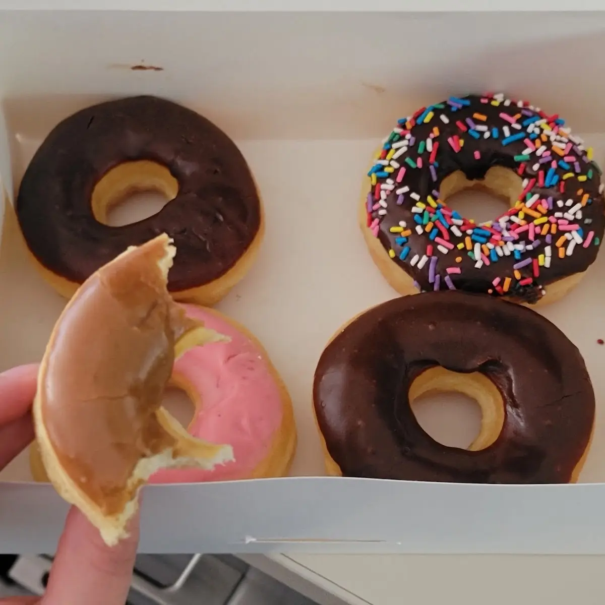 Dozen Chocolate Donuts