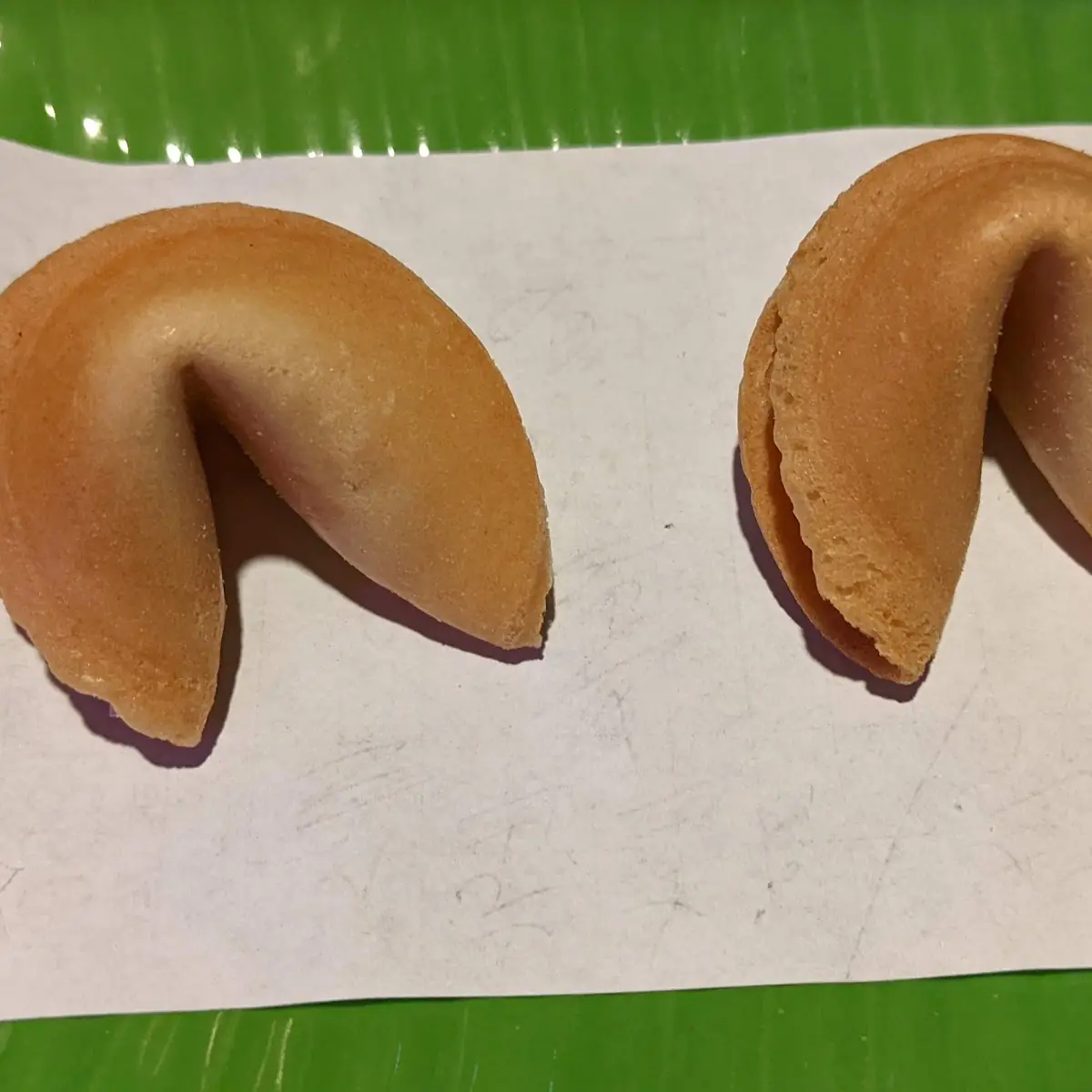 Fortune Cookie