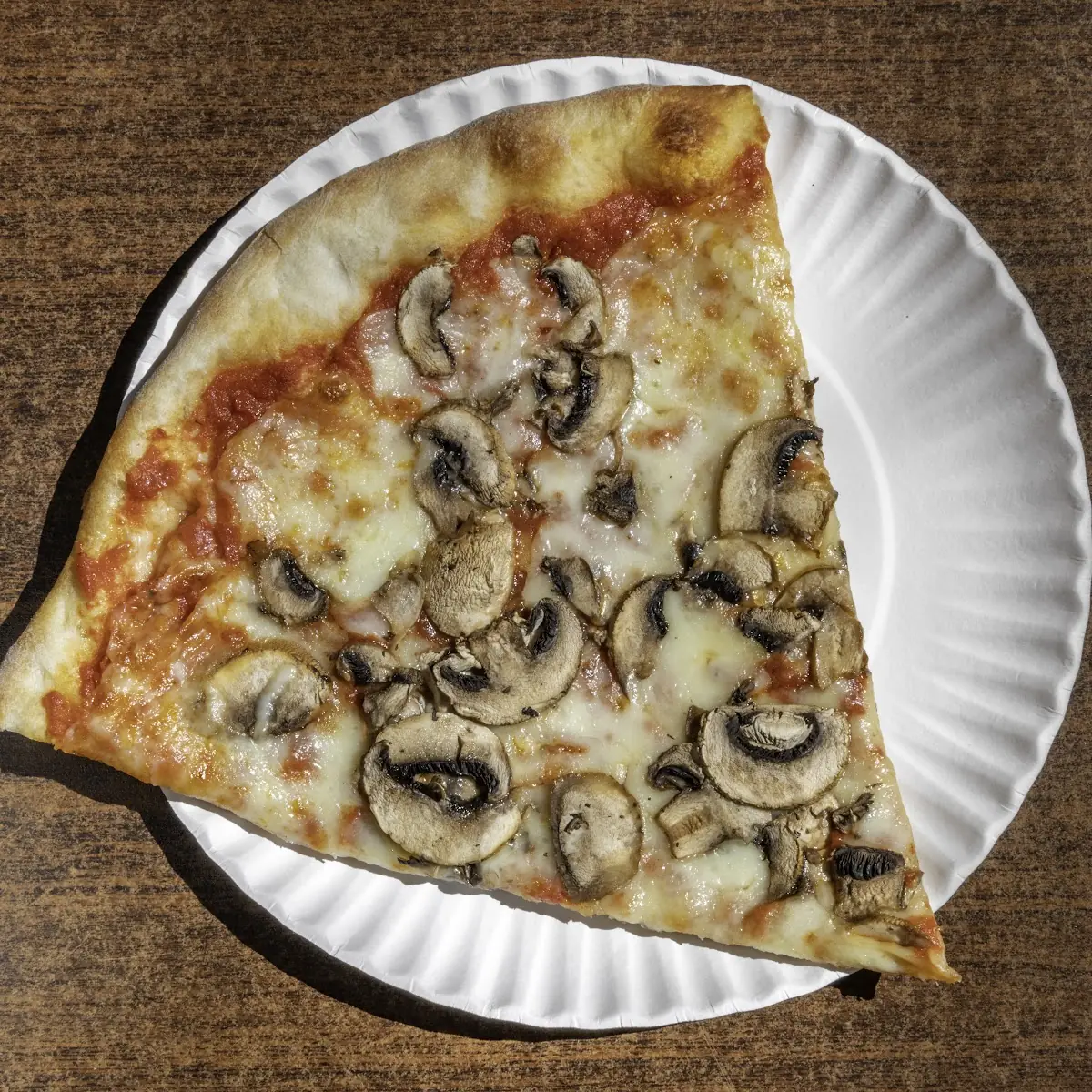 Mushrooms Pizza