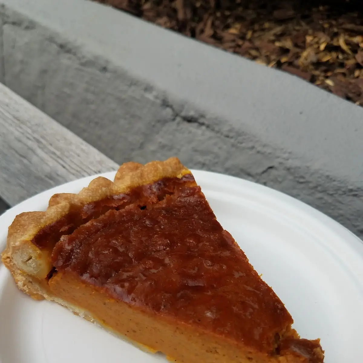 Pumpkin Pie