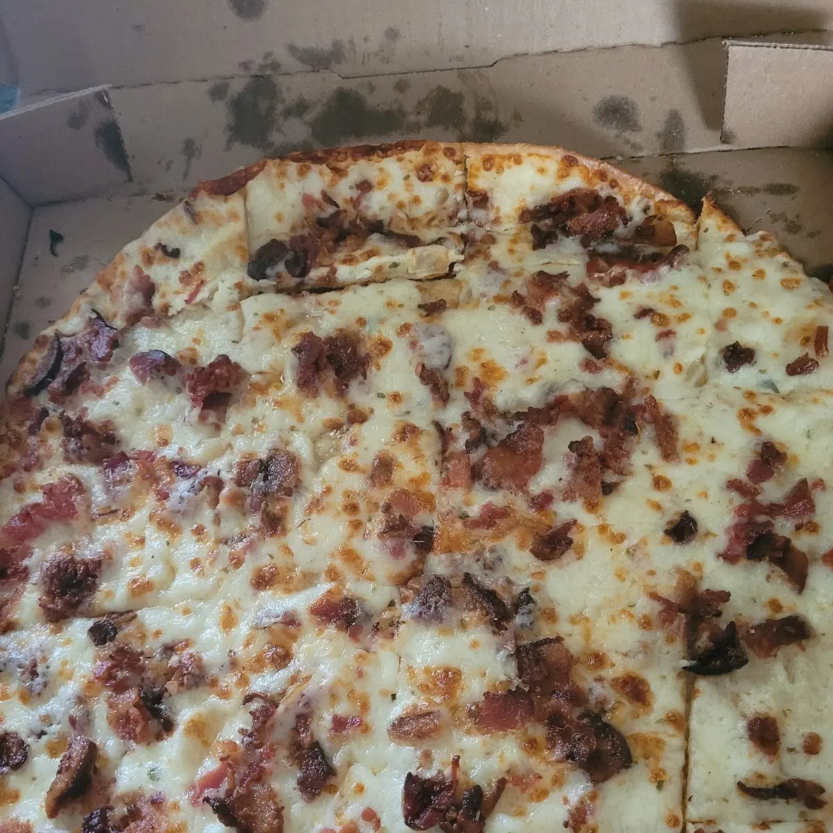Thin Crust Alfredo and Bacon Pizza