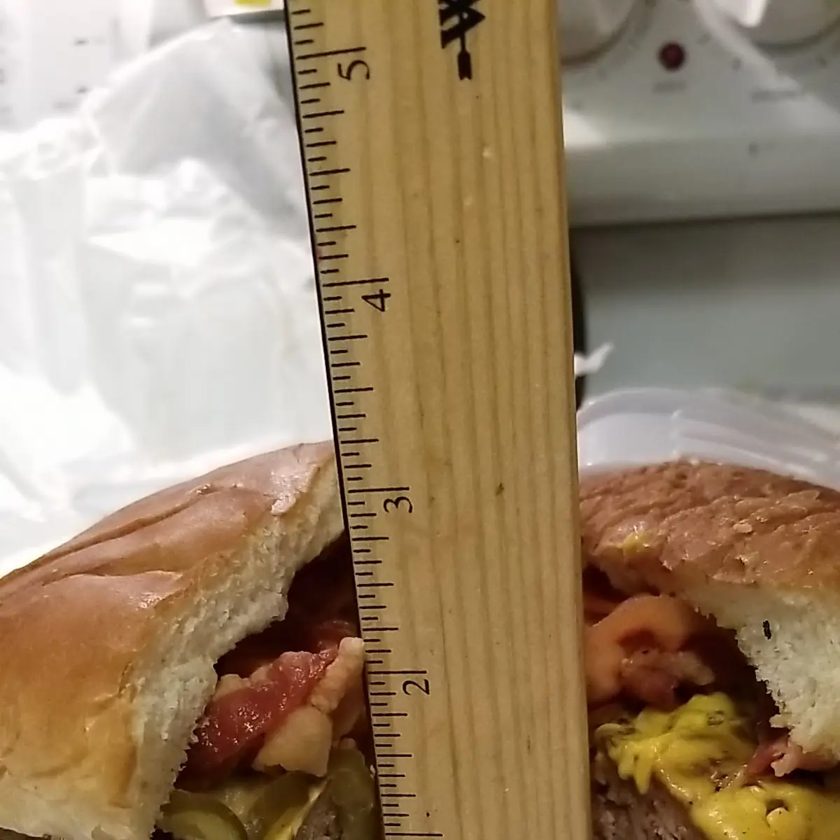 Regular Cheese Burger