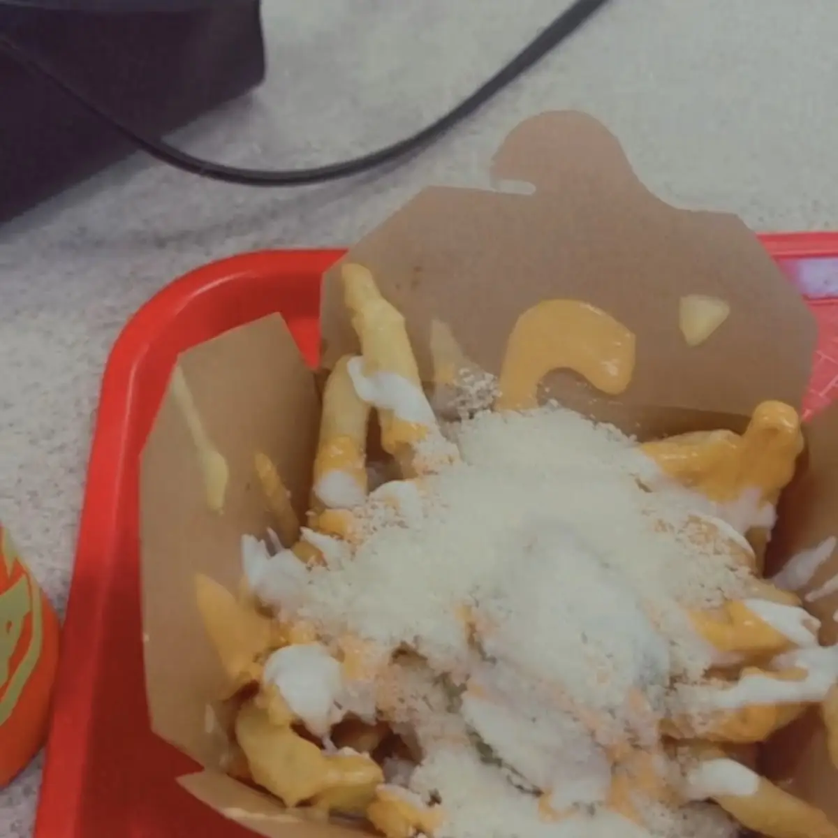 Cheese Fries