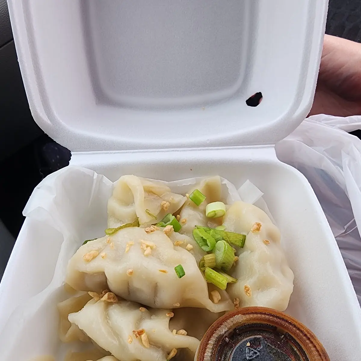 Potsticker Gyoza 6