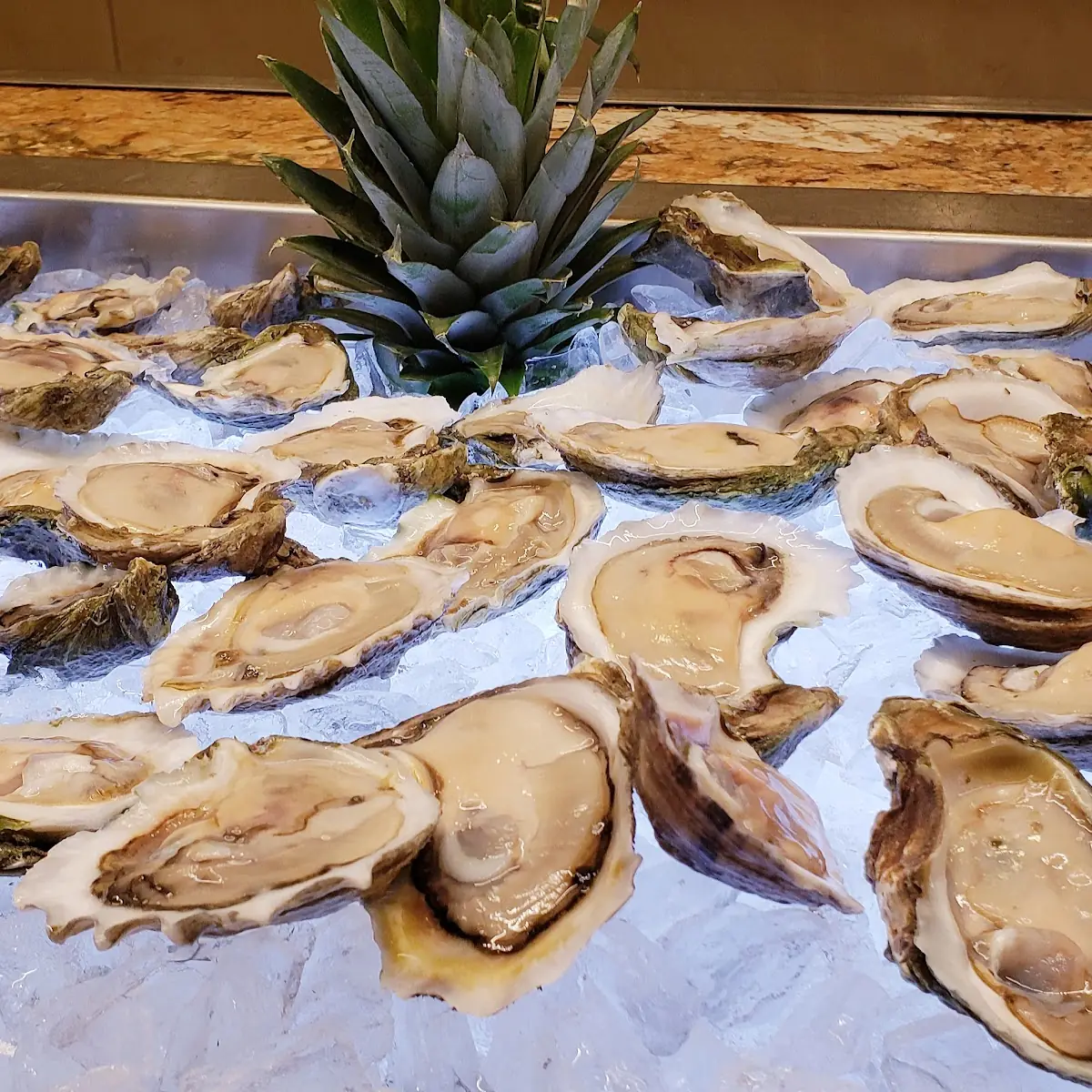 Oysters on the Half Shell