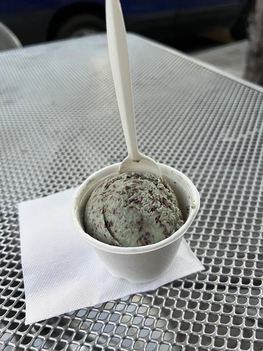 Mint Chocolate Chip