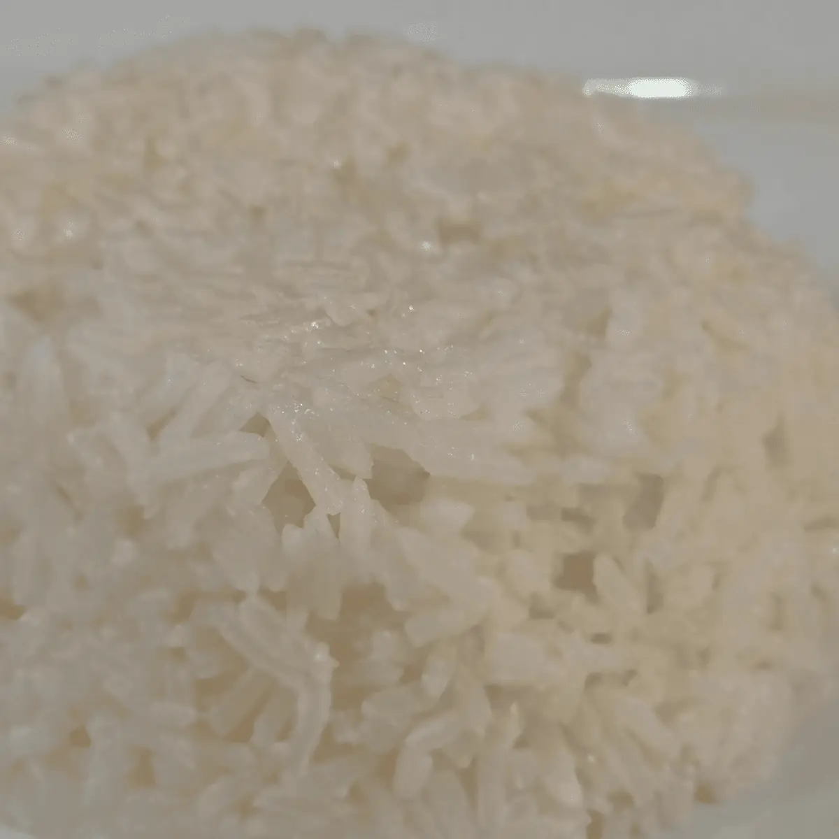 White Rice