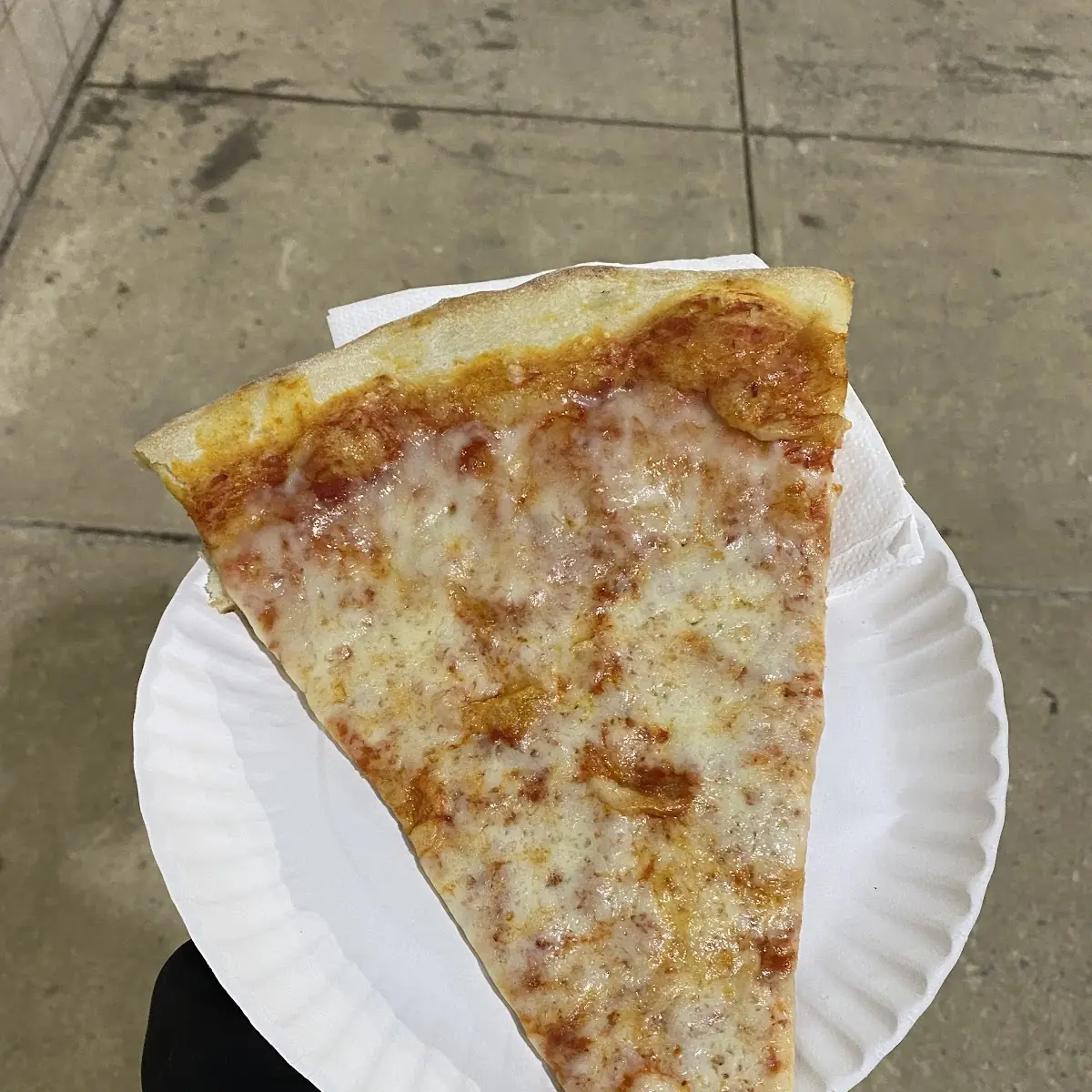 Plain Pizza