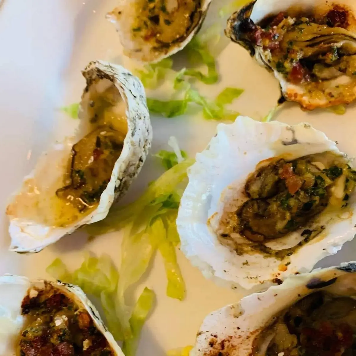 Oysters on the Half Shell