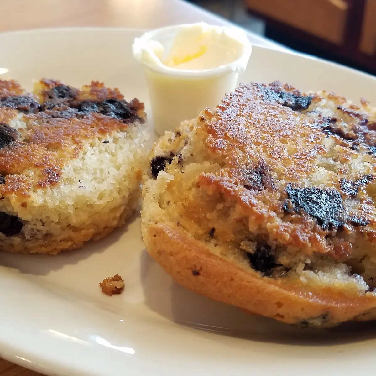 Blueberry Muffin