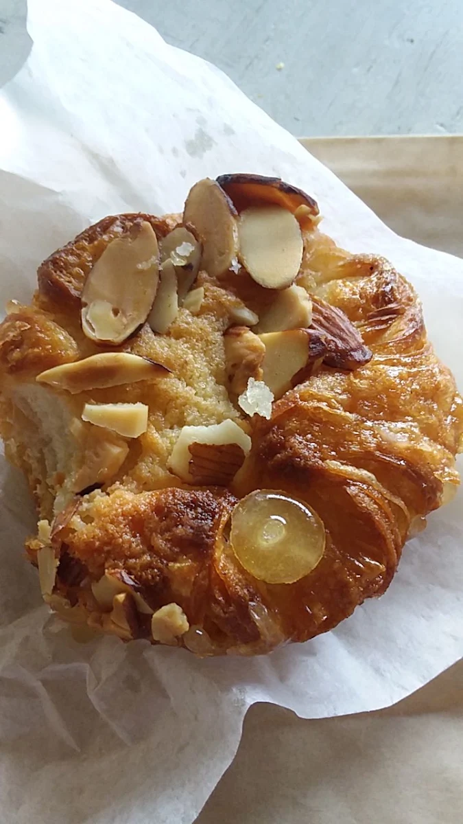 Bear Claw