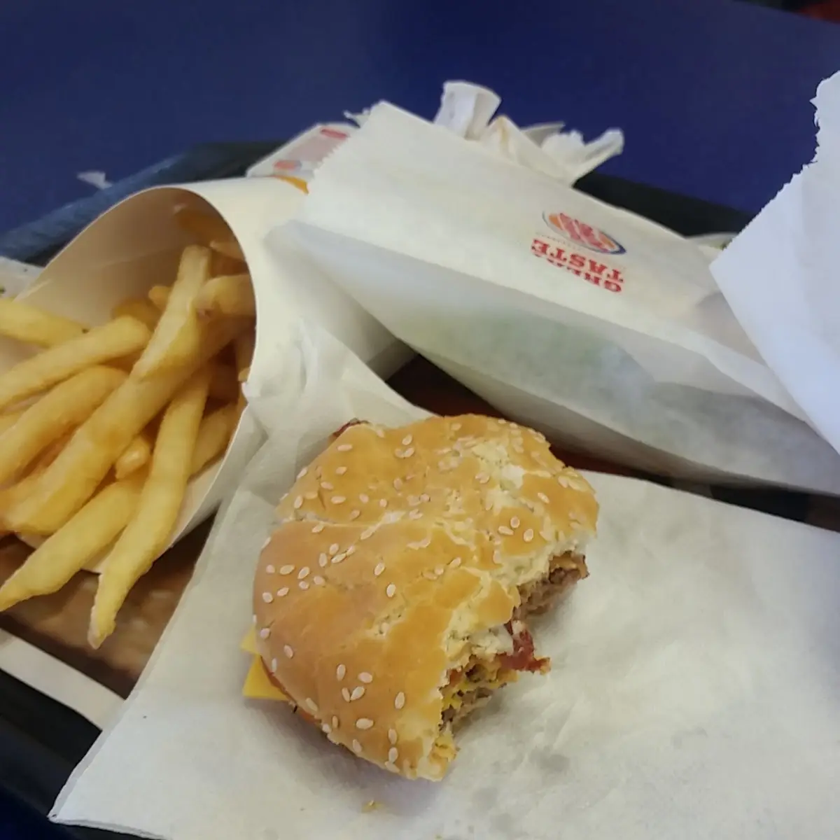 Cheese Burger and Fries