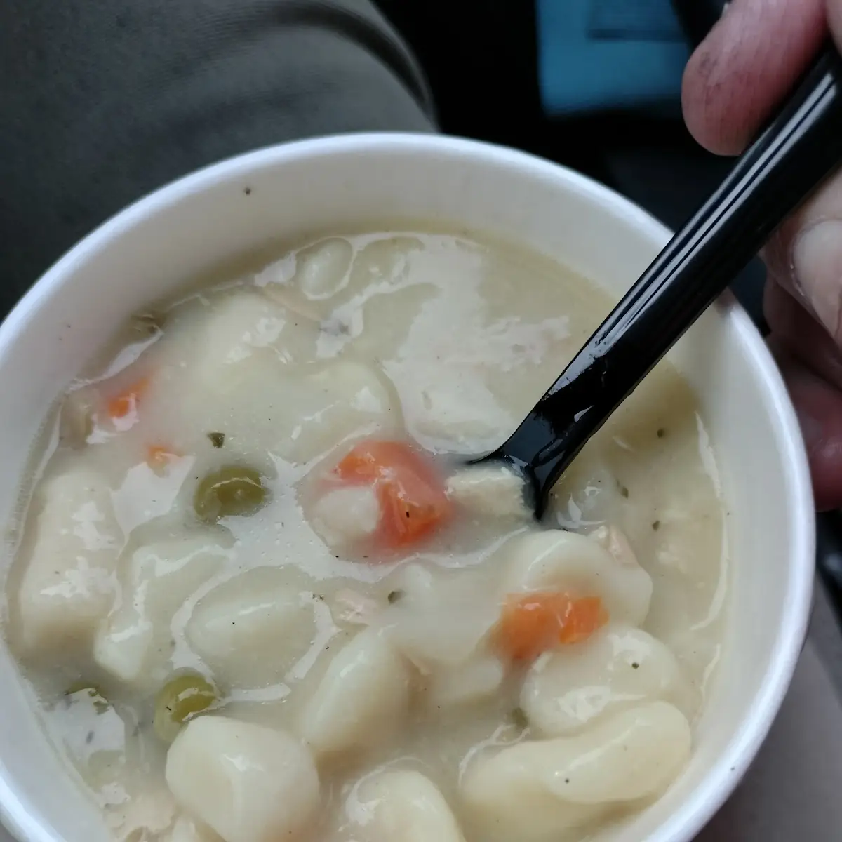 Chicken Dumpling