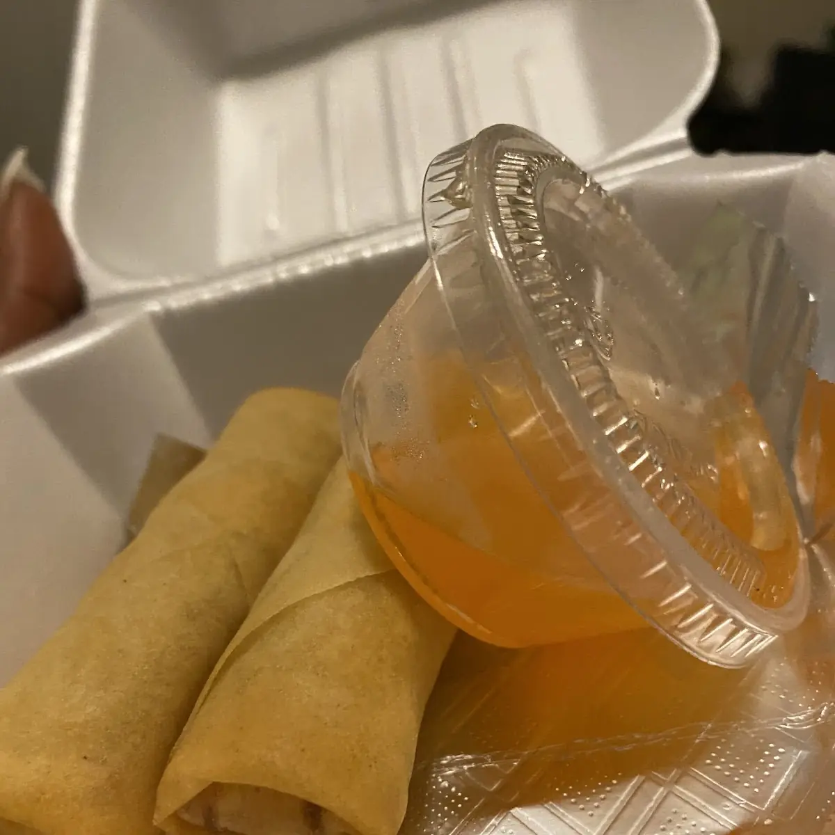 Fried Spring Rolls