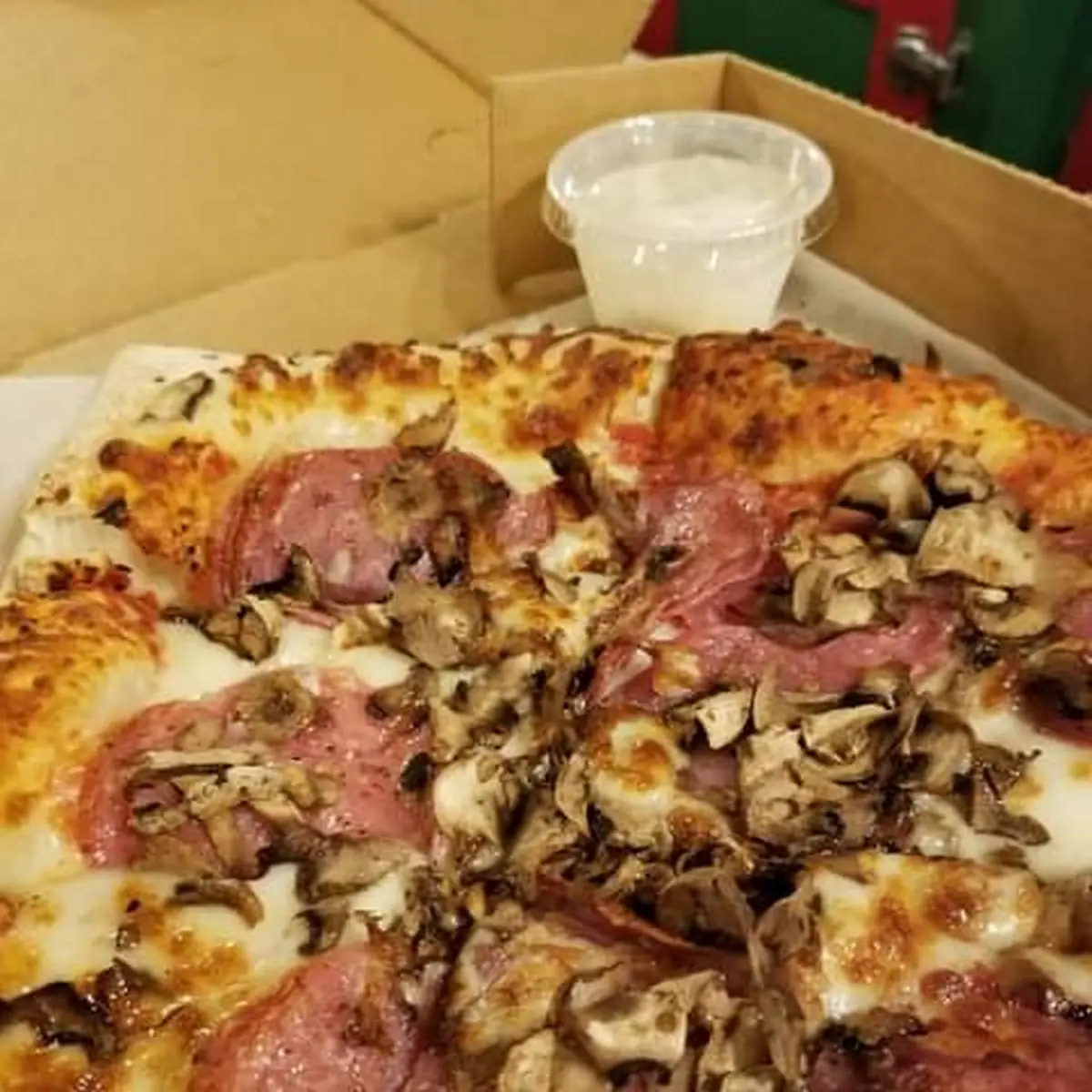 Salami and Mushroom Pizza