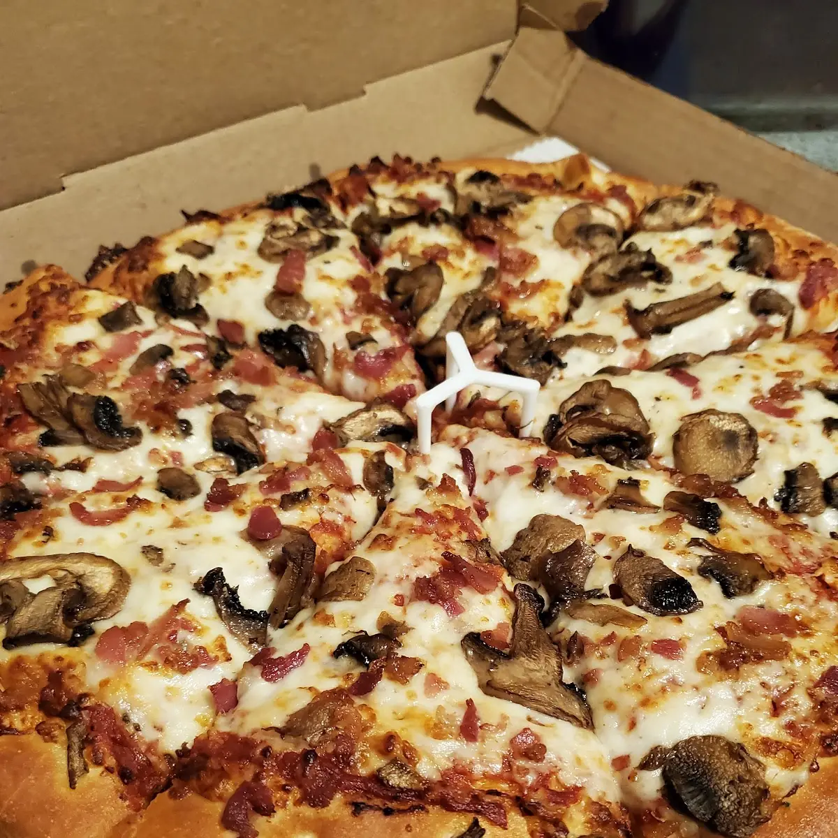 Mushroom Pizza