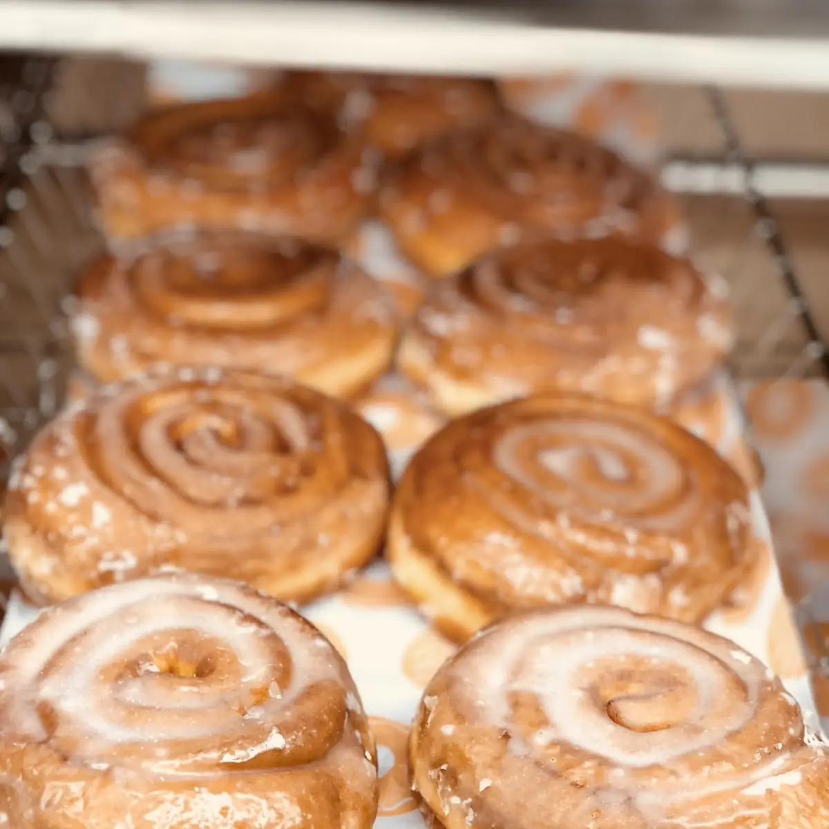 Cinnamon Roll