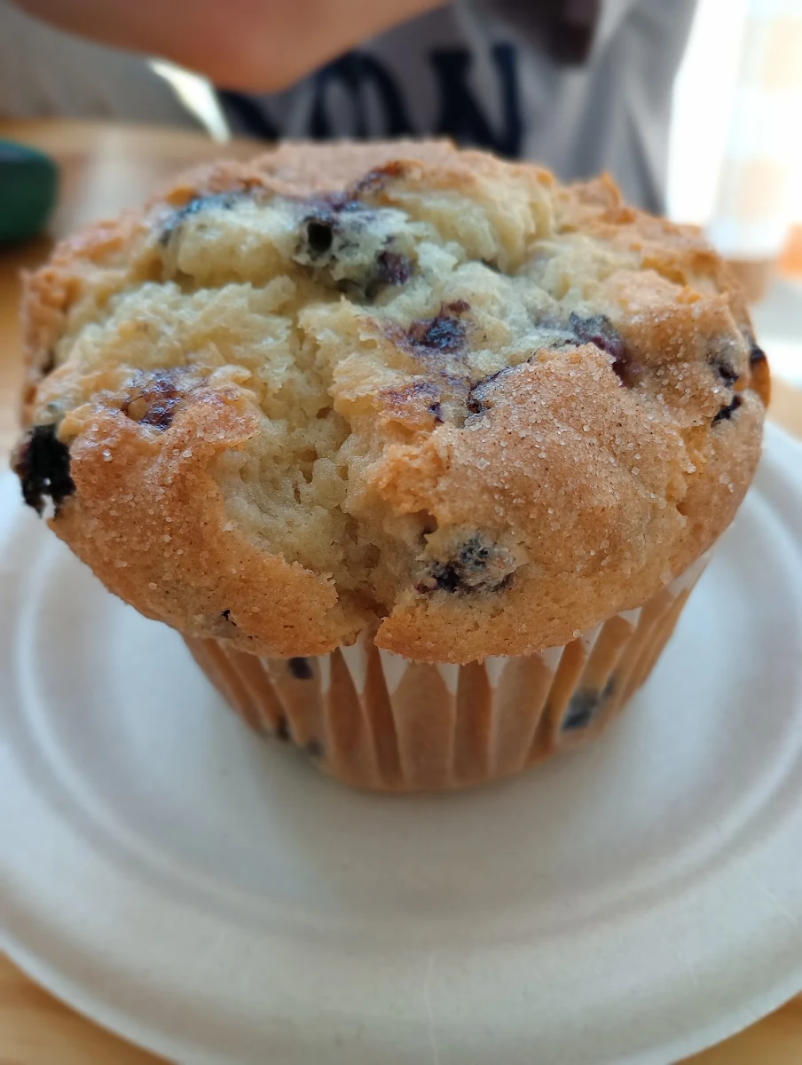 Blueberry Muffin
