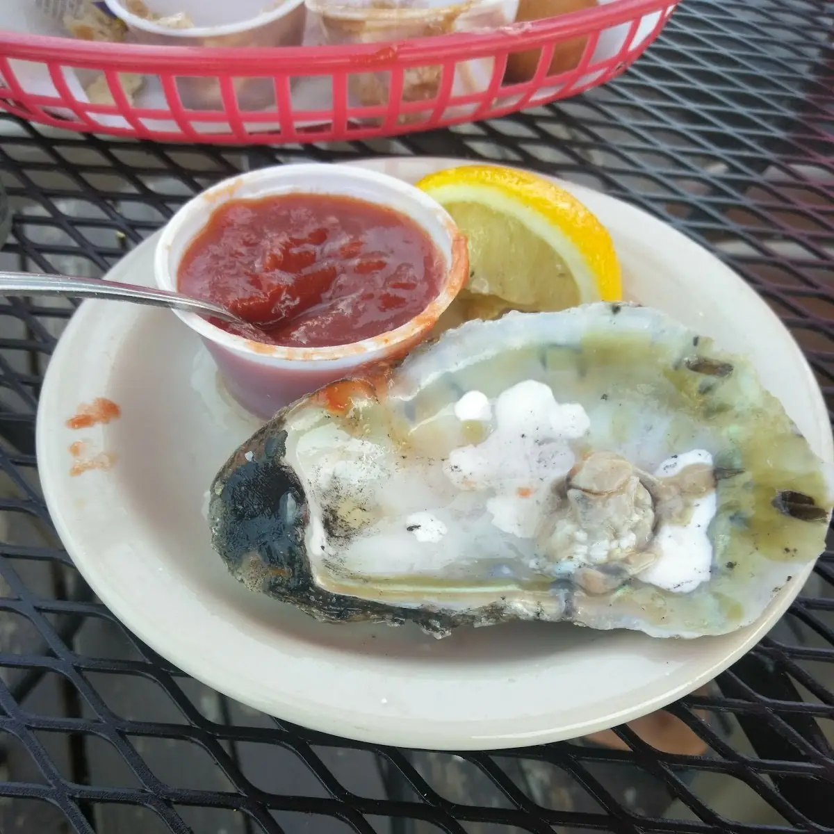 Oysters on the Half Shell