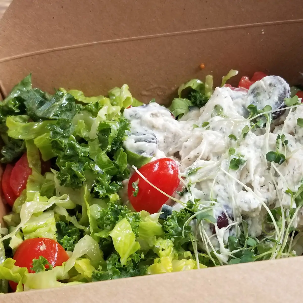 Chicken Salad