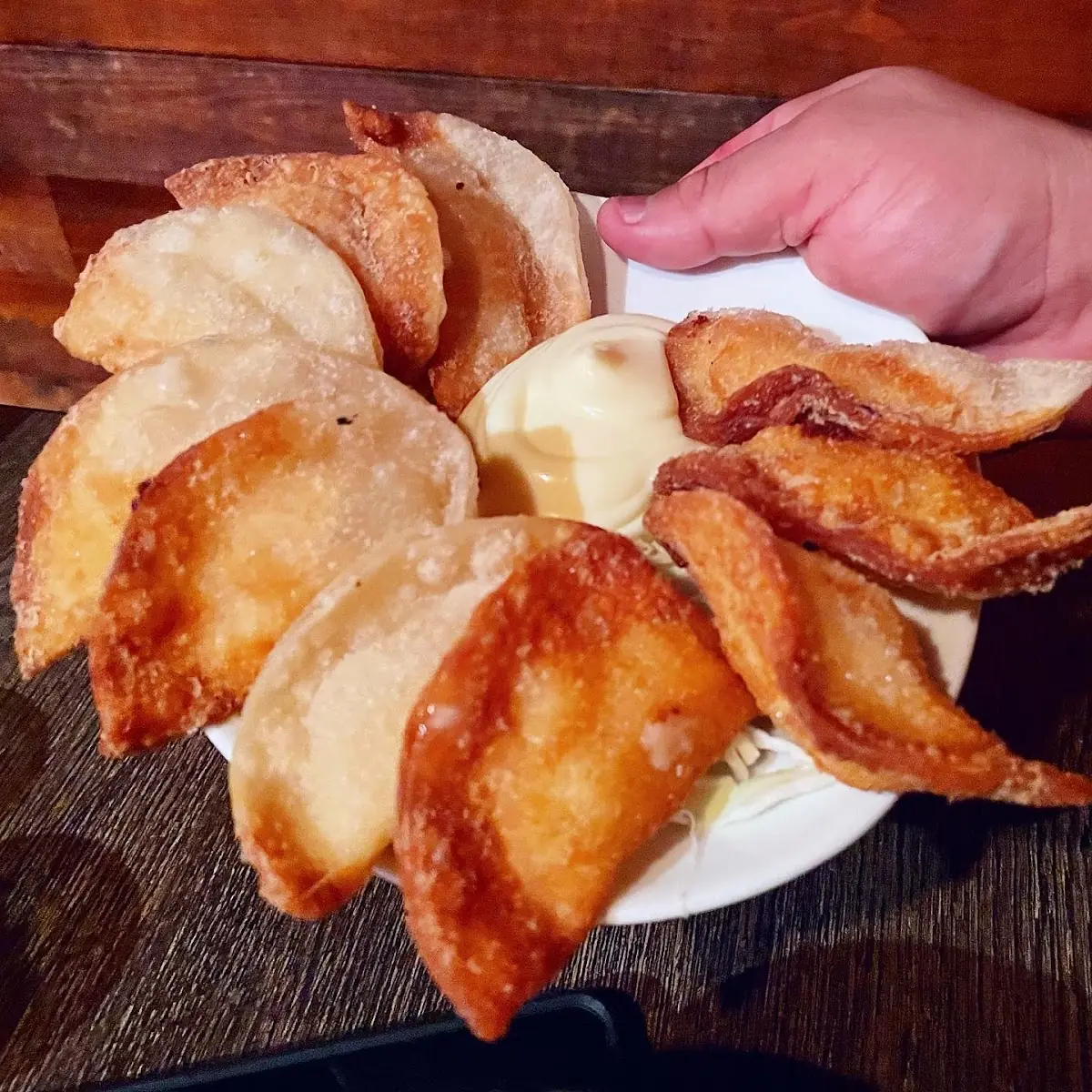 Fried Pork Dumplings x2