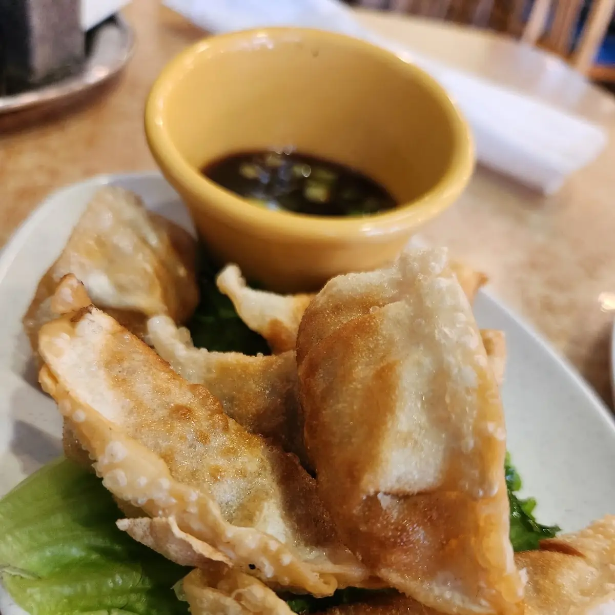 Fried Pork Dumplings