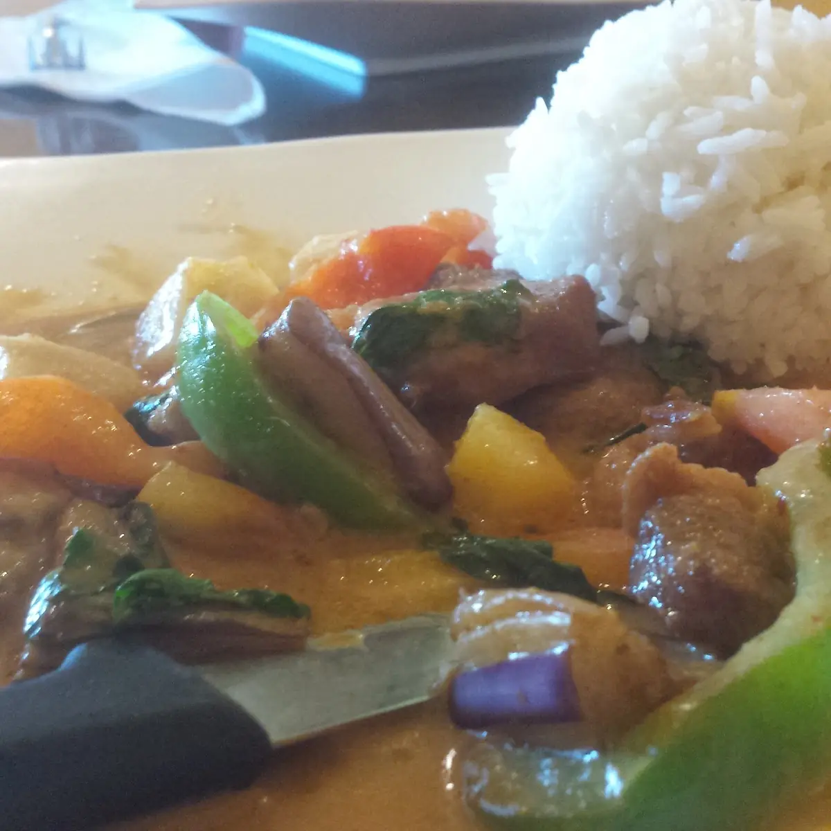 Red Curry Duck