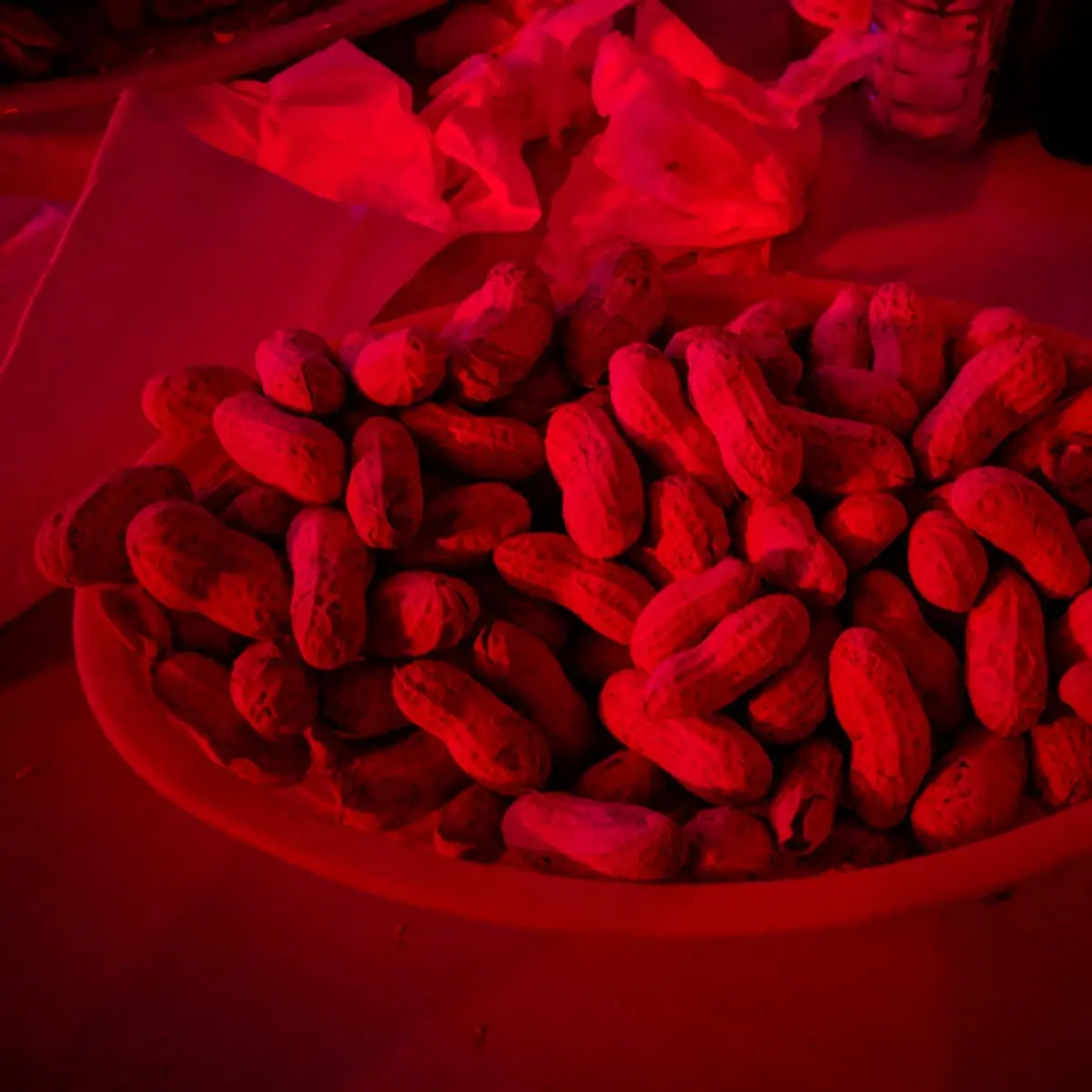Roasted Peanuts