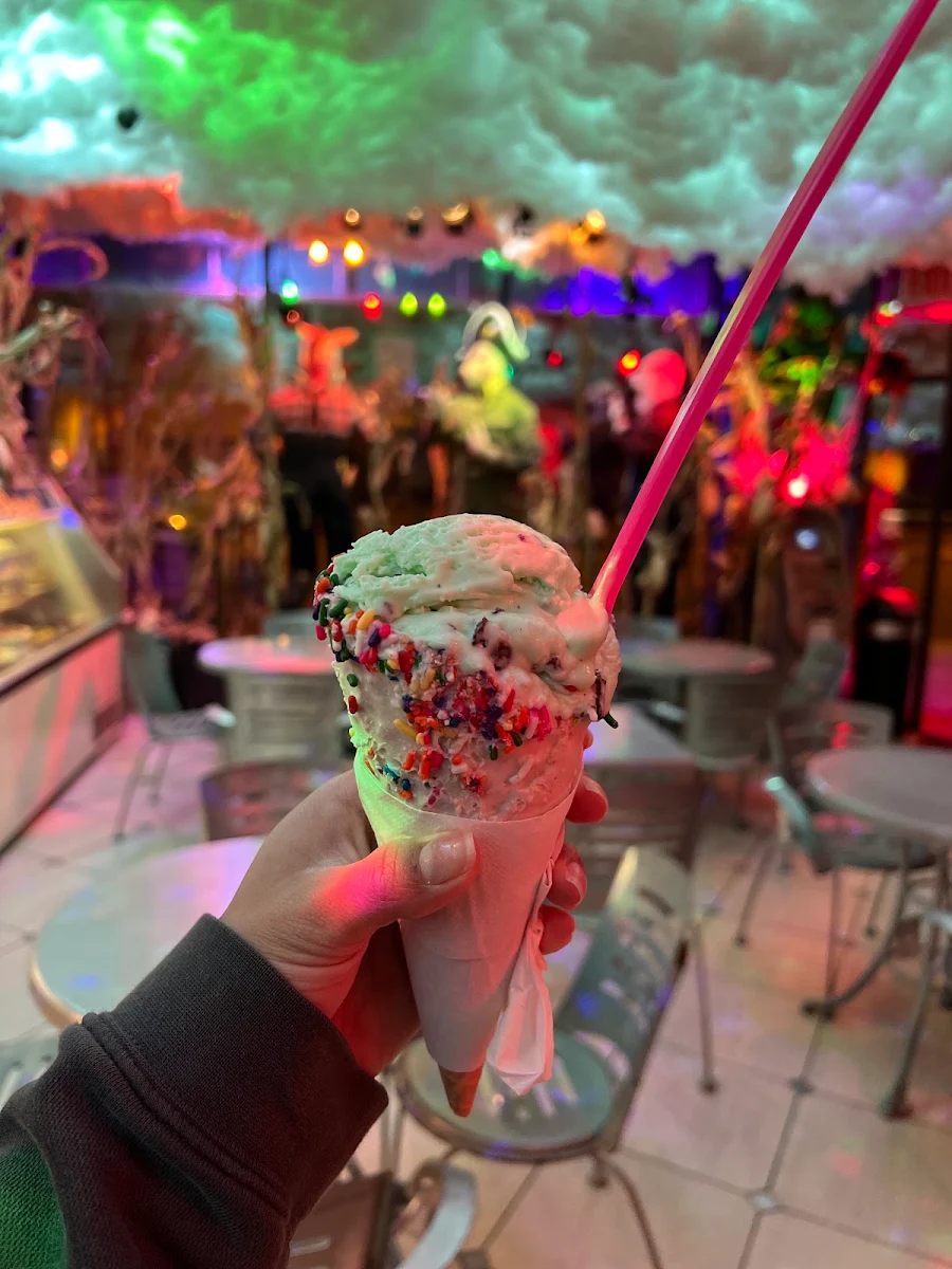 Mint Chocolate Chip