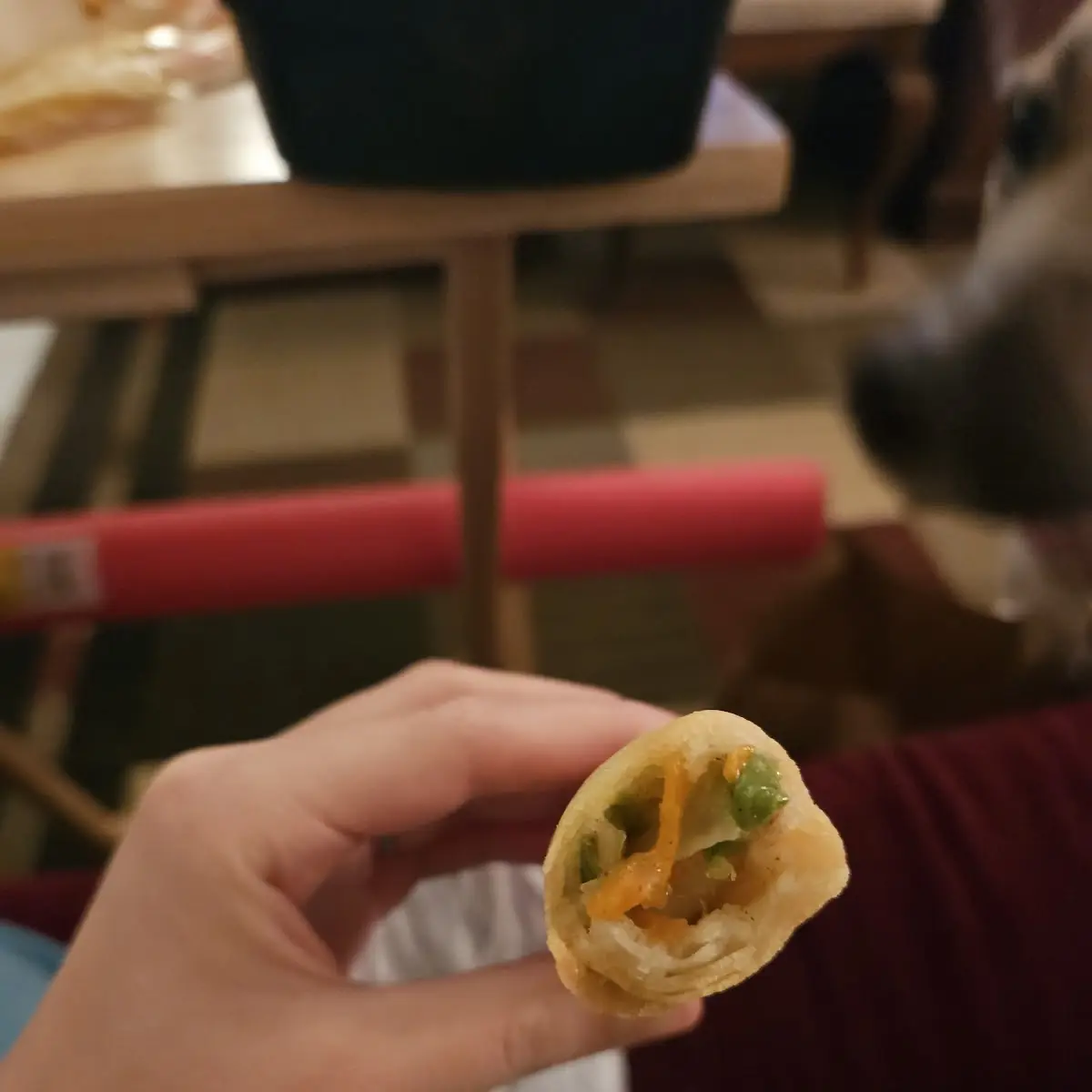 Spring Roll 4