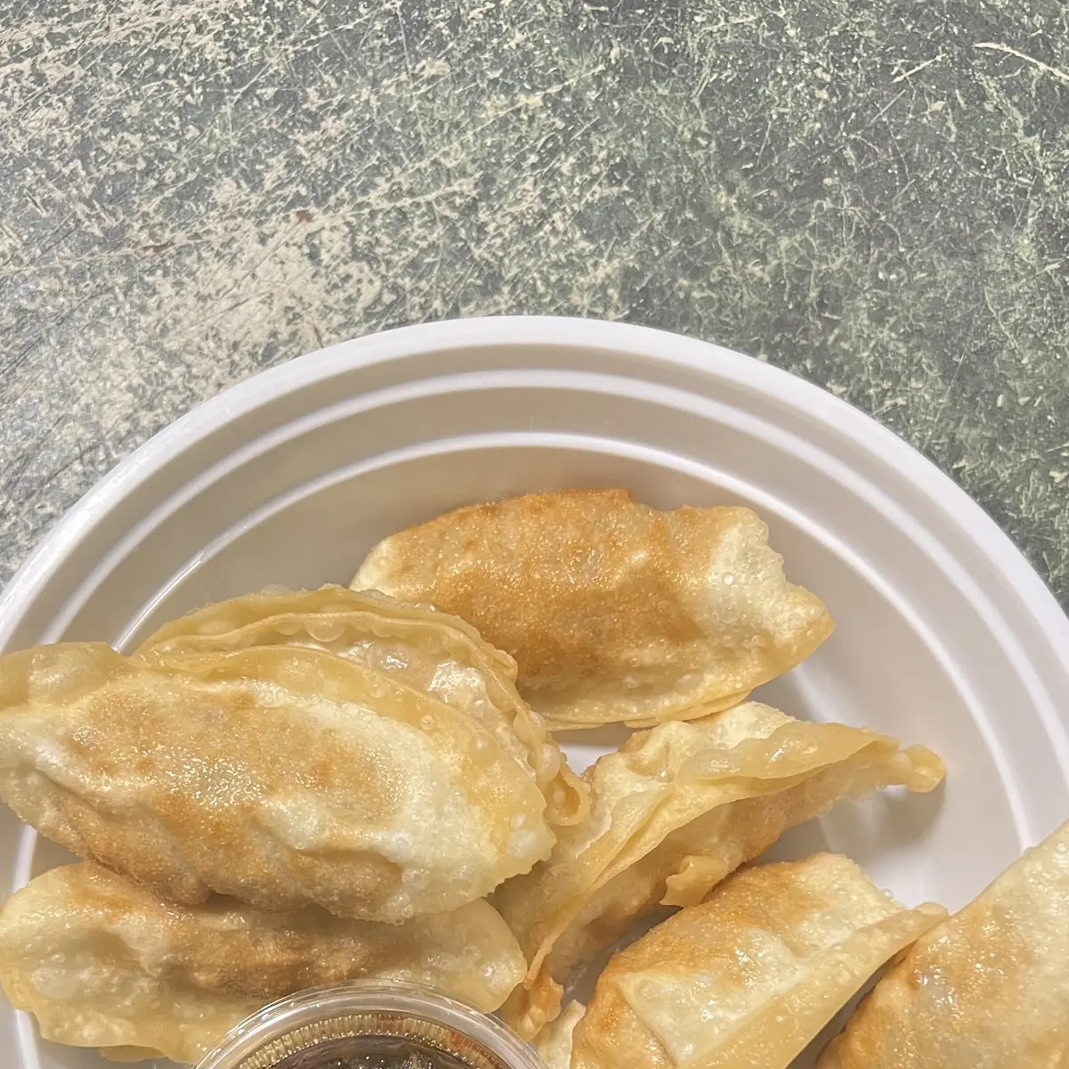 Fried Dumplings 8