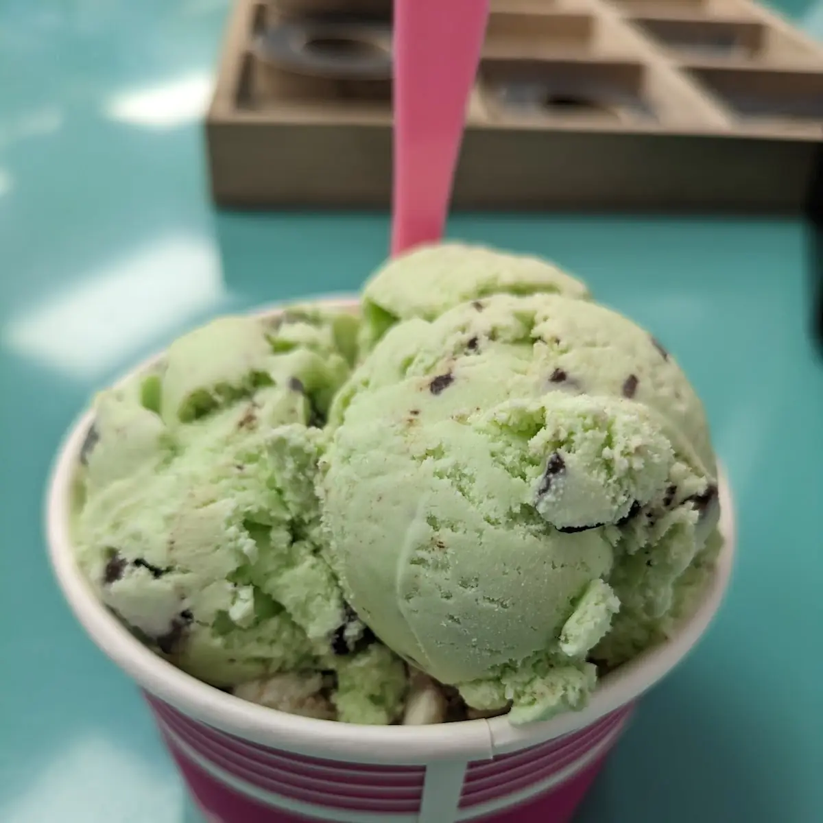 Chocolate Chip