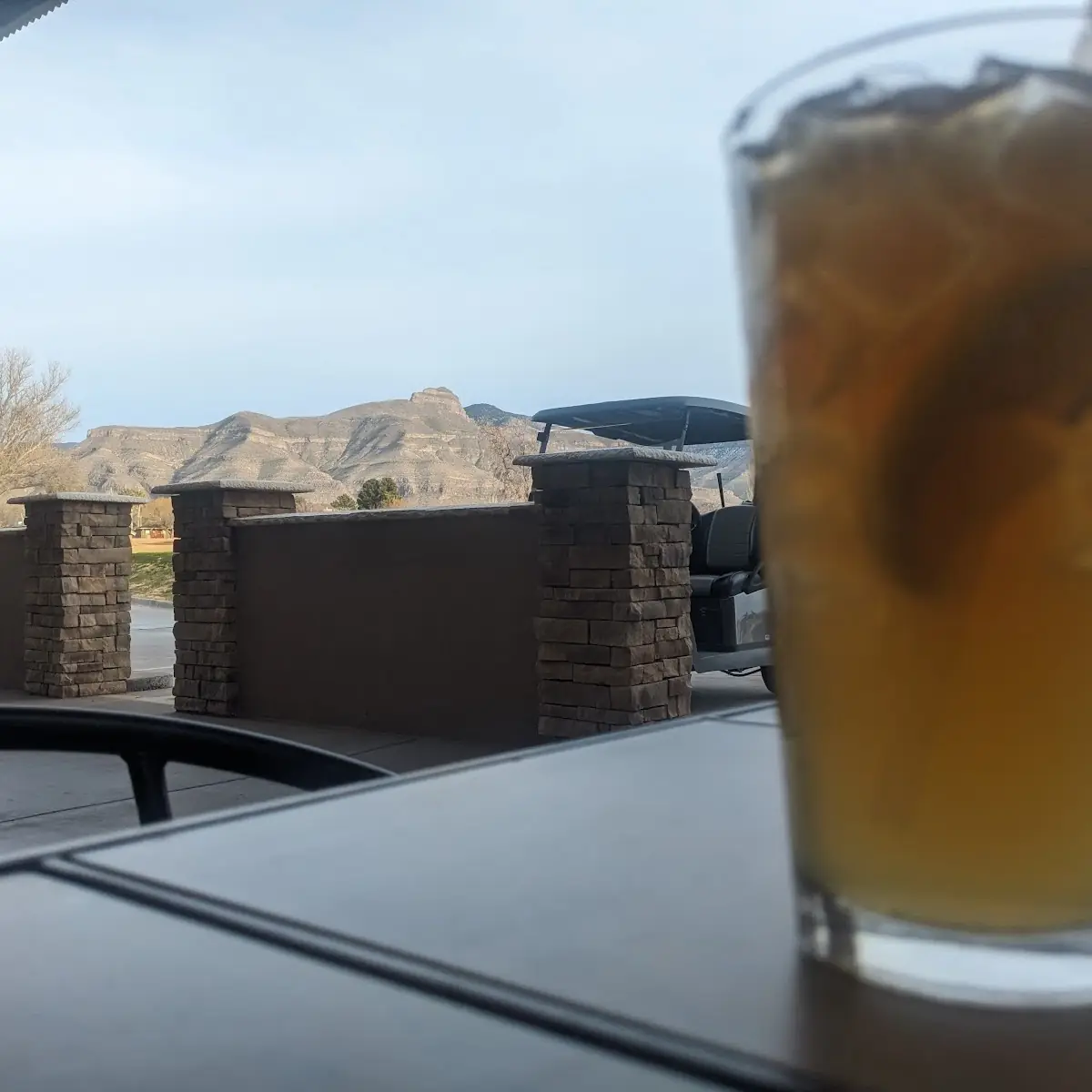 Iced or Hot Tea