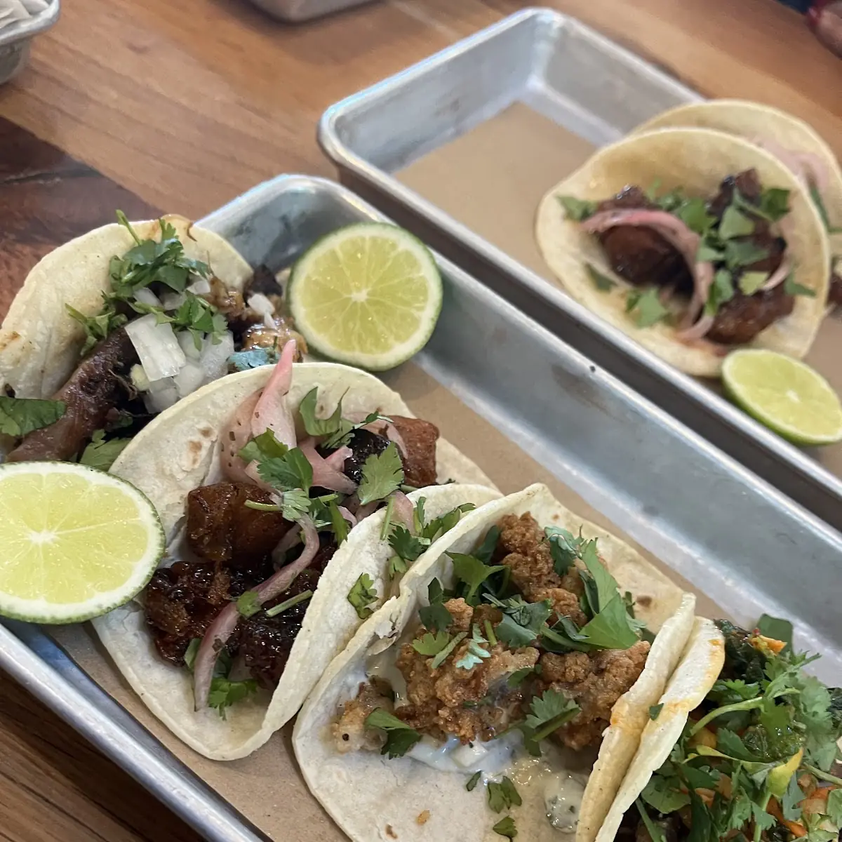 Crispy Pork Belly Tacos