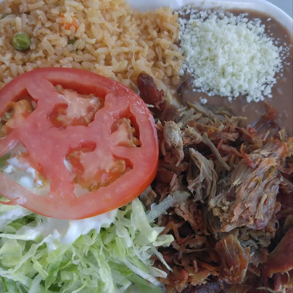 Combination Plate with Carnitas
