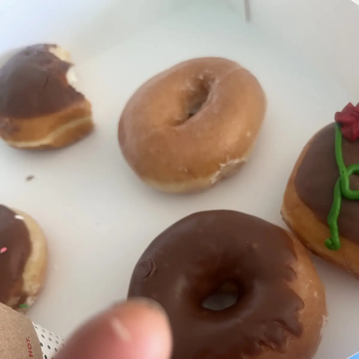 Doughnut