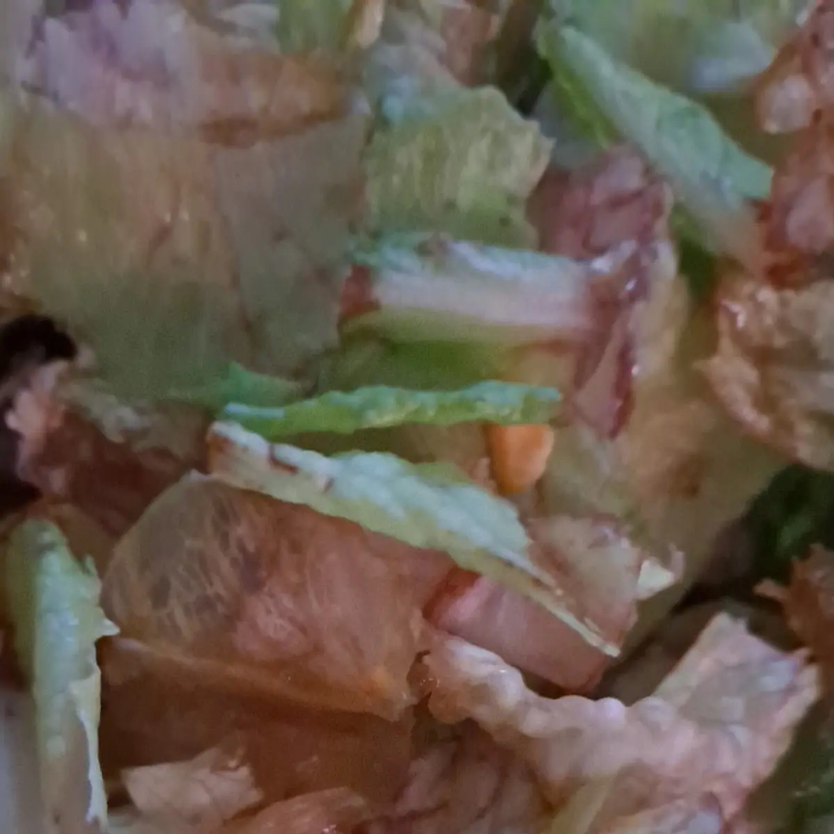 Wendy's Rotten Salad