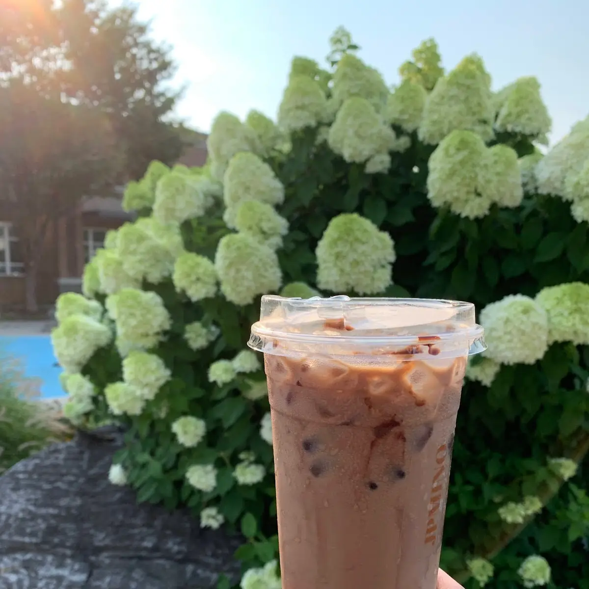 Iced Caramel Latte