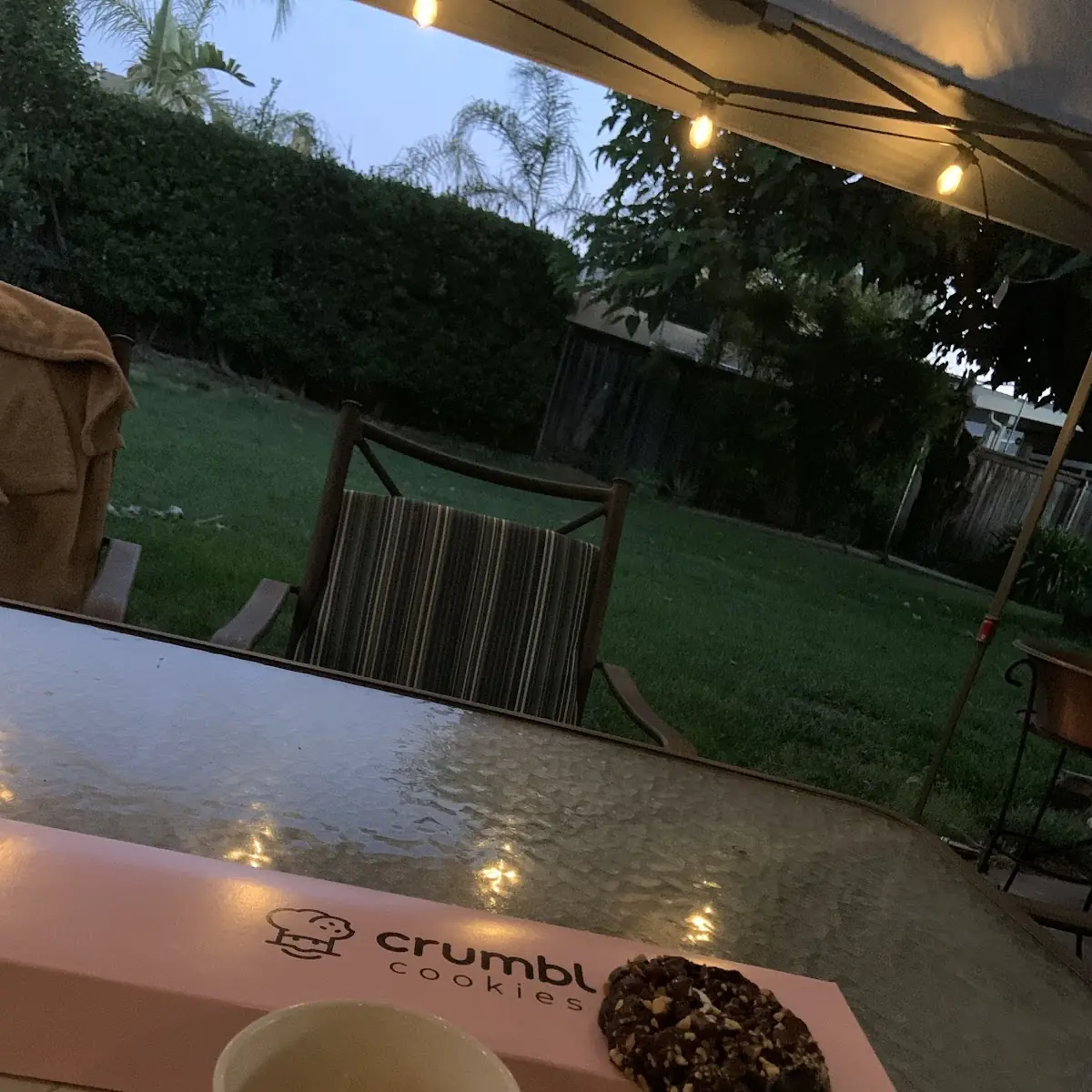Kopi Luwak