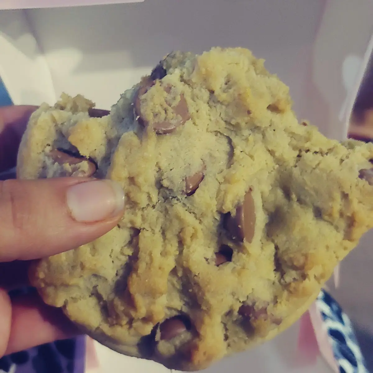 Milk Chocolate Chip Cookie