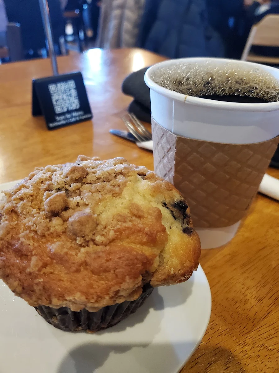 Blueberry Muffin