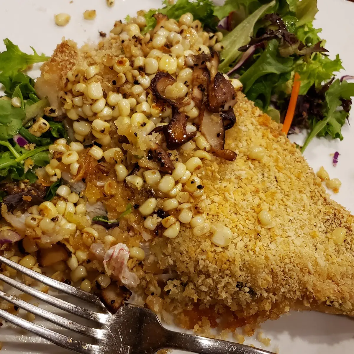 Red Snapper