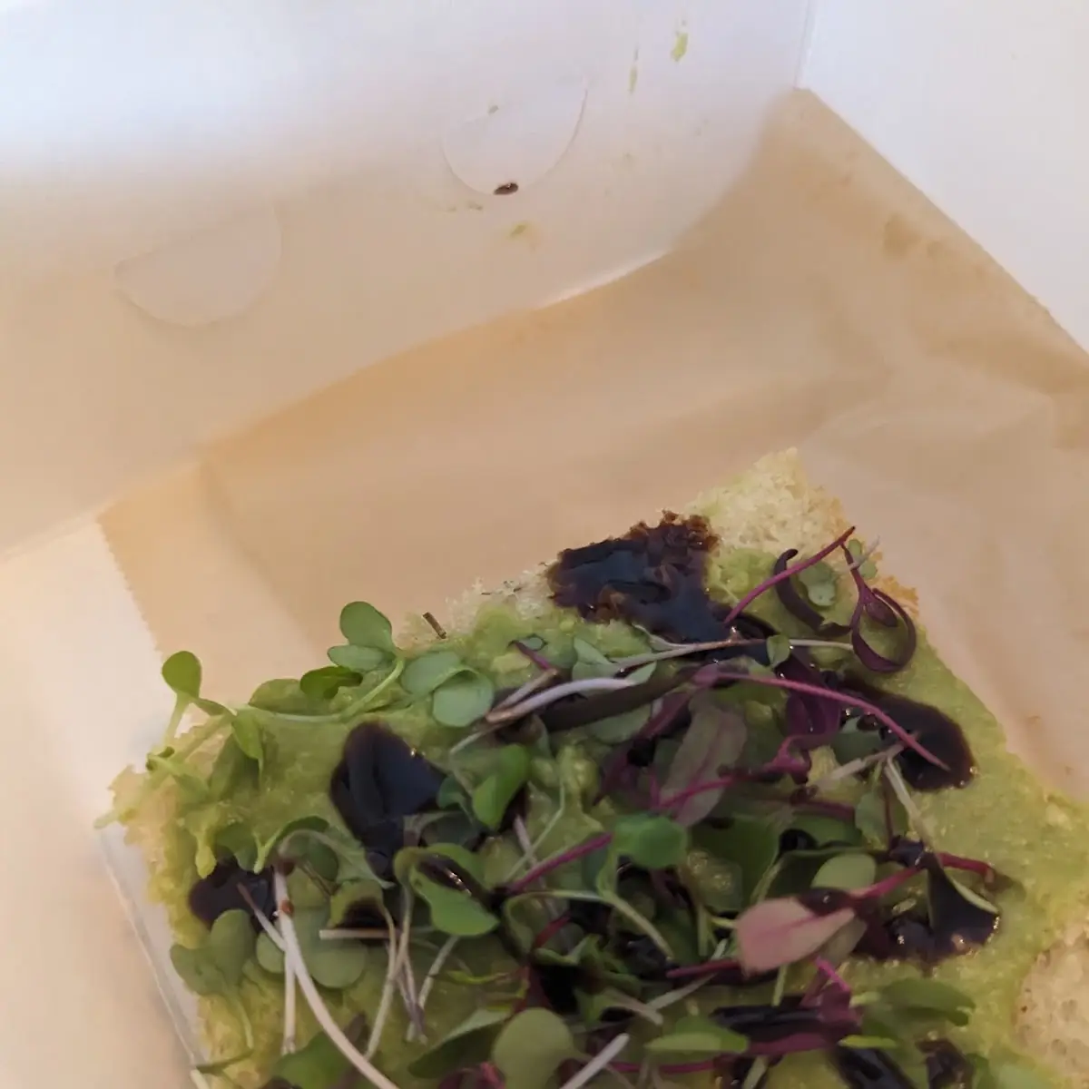 Avocado Toast