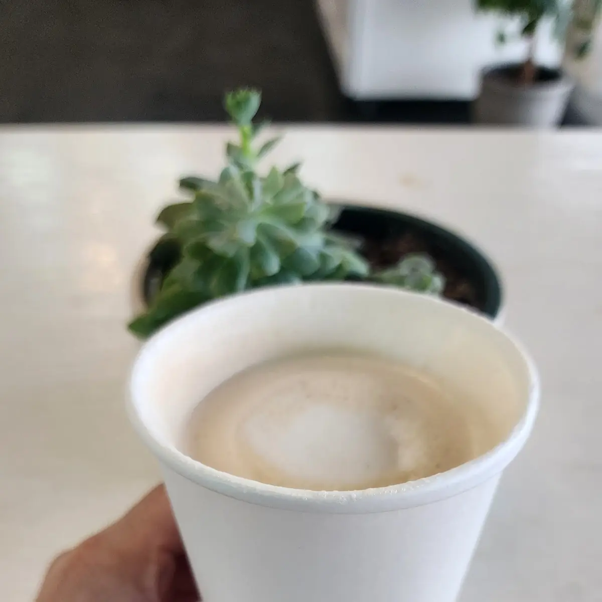 Cappuccino