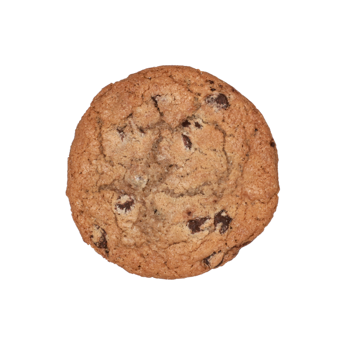Chocolate Chip Cookie
