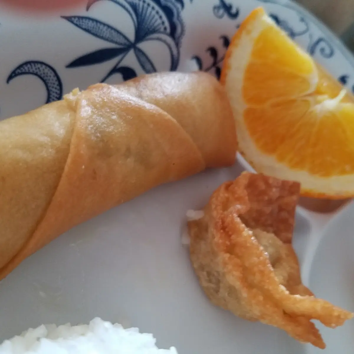 Egg Roll & Fried Wonton